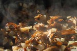 food6.jpg